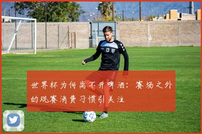 世界杯为何离不开啤酒：赛场之外的观赛消费习惯引关注