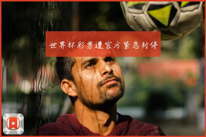 世界杯彩票遭官方紧急封停