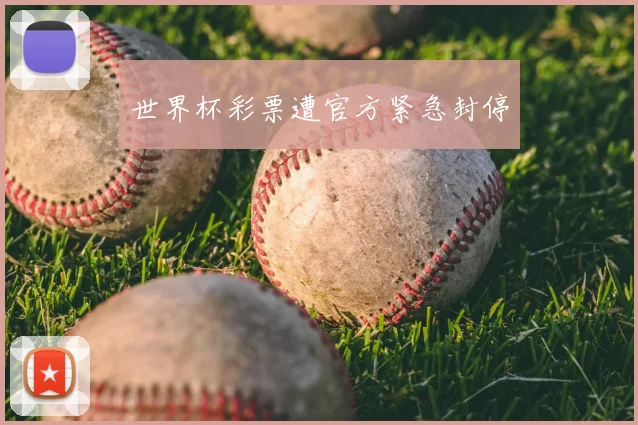 世界杯彩票遭官方紧急封停