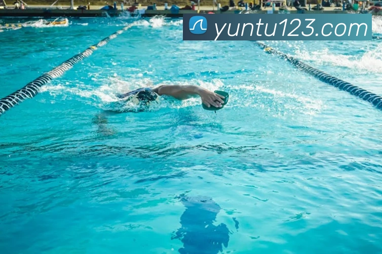 世界杯开户平台服务体系